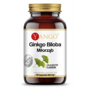 Ginkgo biloba /miłorząb japoński/ 100mg 90 kap Yango
