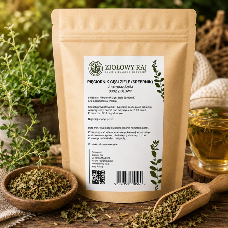 Pięciornik Gęsi Ziele (Srebrnik) 50g Ziołowy Raj