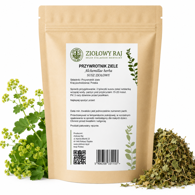 Przywrotnik ziele prosta Przywrotnik ziele 50g Ziołowy Raj