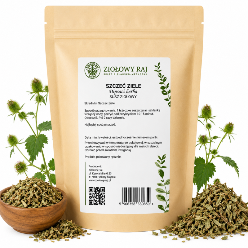 Szczeć ziele prosta Szczeć ziele 50g Ziołowy Raj