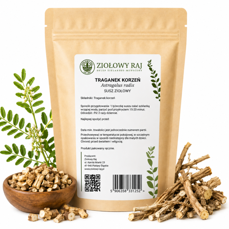 Traganek korzeń prosta Traganek korzeń 50g Ziołowy Raj