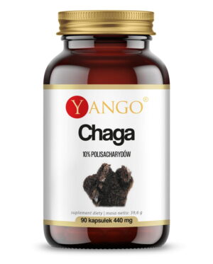 Chaga 440mg 90kap. Yango