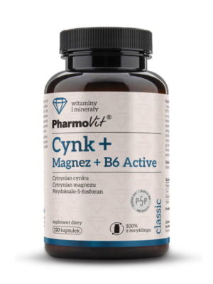 Cynk+Magnez+B6 Active 120kap. Pharmovit