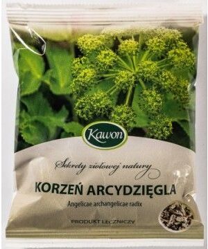 Arcydzięgiel korzeń 50g Kawon