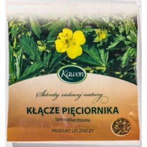 dsc00336_o0kDhx.jpg Pięciornik kłącze 50g Kawon