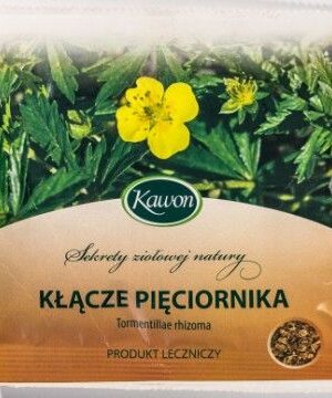 Pięciornik kłącze 50g Kawon