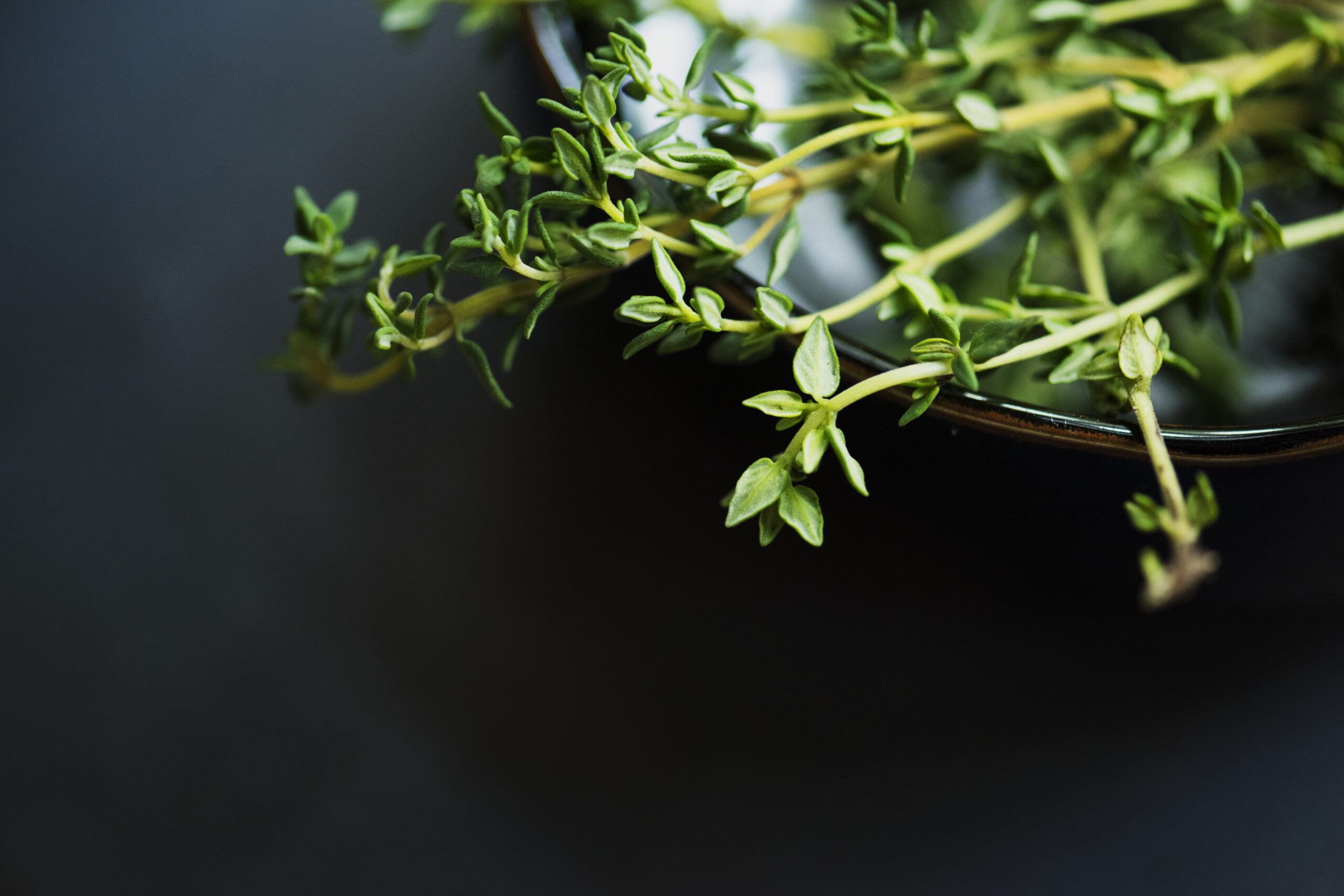 Fresh thymes herb Drogi moczowe, pęcherz fix 30x2,5g Ludowe Receptury Mir-lek