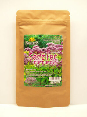 Sadziec purpurowy korzeń cięty 50g Proherbis