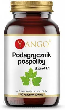 Podagrycznik pospolity 420mg 90kap Yango