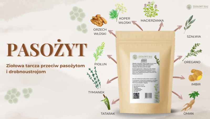 Herbatka ziołowa Pasożyt Ziołowy Raj