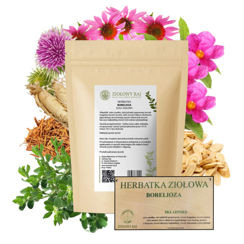 borelioza HERBATKA ZIOŁOWA BORELIOZA
