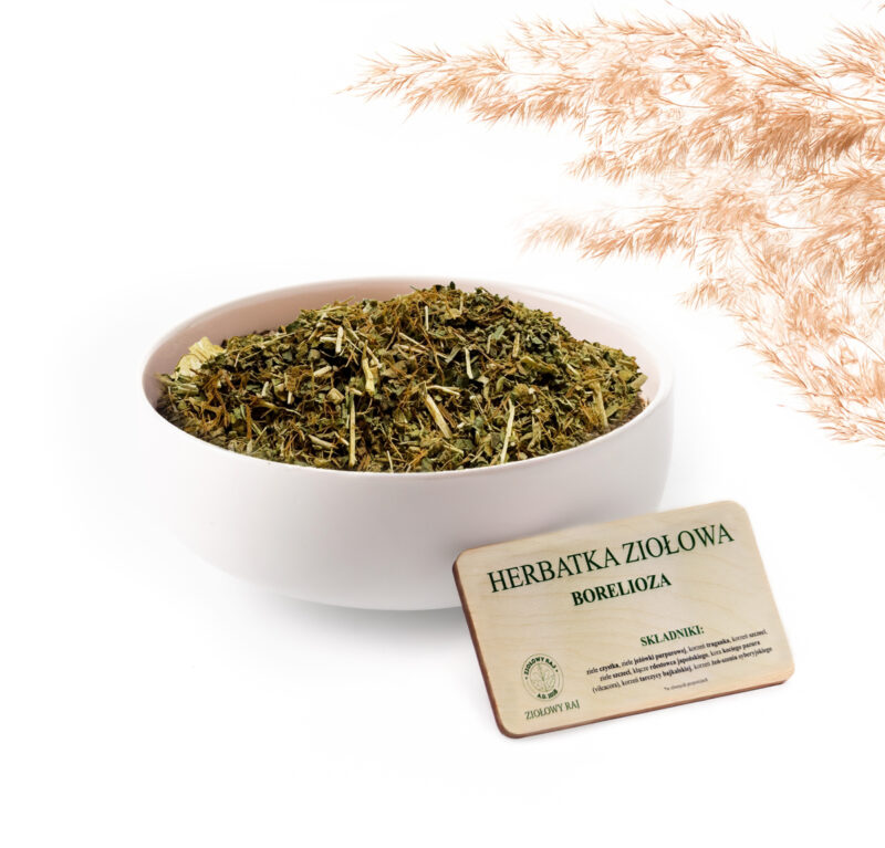 borelioza-plakietka HERBATKA ZIOŁOWA BORELIOZA