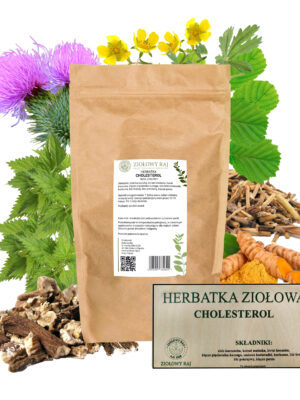 HERBATKA ZIOŁOWA CHOLESTEROL