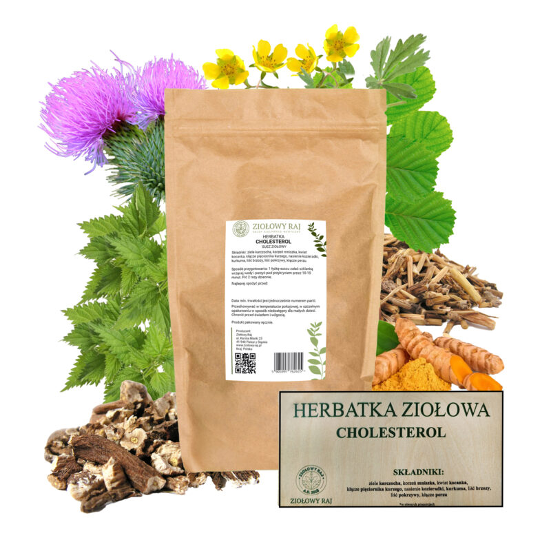 HERBATKA ZIOŁOWA CHOLESTEROL