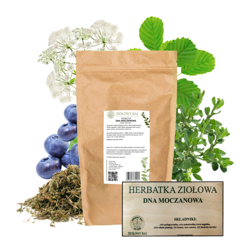 dna-moczanowa miniaturka HERBATKA ZIOŁOWA DNA MOCZANOWA