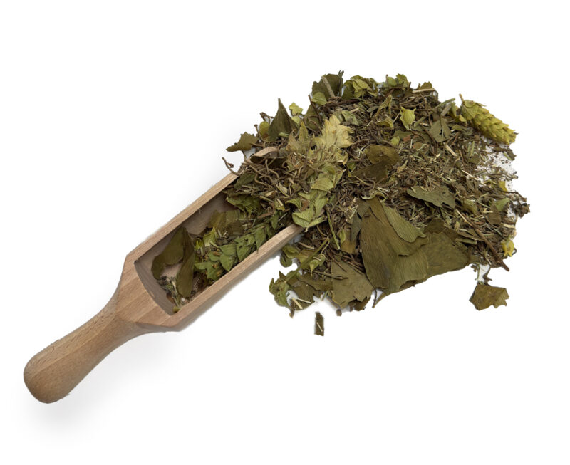 HERBATKA ZIOŁOWA PAMIĘĆ