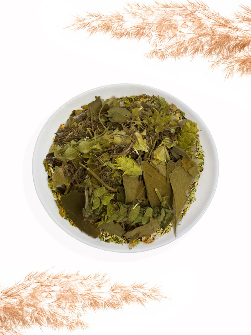 HERBATKA ZIOŁOWA PAMIĘĆ