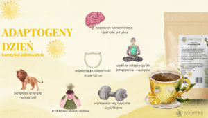 HERBATKA ZIOŁOWA ADAPTOGENY DZIEŃ