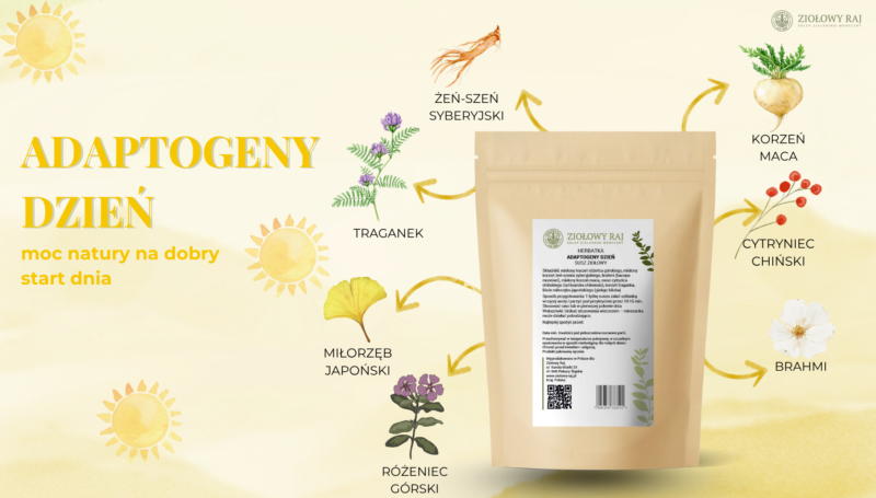 HERBATKA ZIOŁOWA ADAPTOGENY DZIEŃ