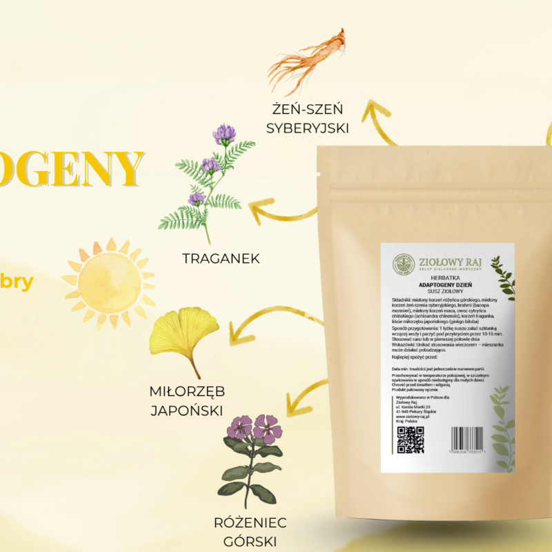 HERBATKA ZIOŁOWA ADAPTOGENY DZIEŃ
