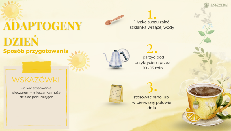 HERBATKA ZIOŁOWA ADAPTOGENY DZIEŃ