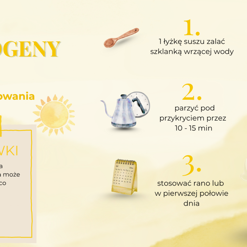 HERBATKA ZIOŁOWA ADAPTOGENY DZIEŃ