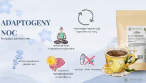 HERBATKA ZIOŁOWA ADAPTOGENY NOC