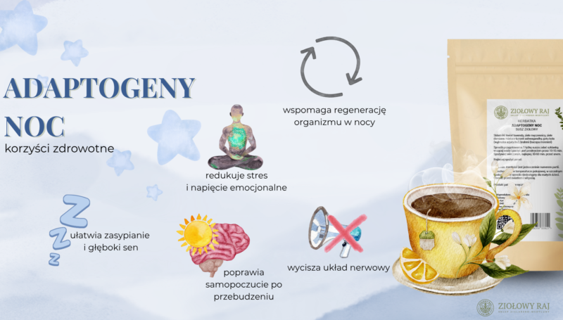 Adaptogeny noc korzyści HERBATKA ZIOŁOWA ADAPTOGENY NOC