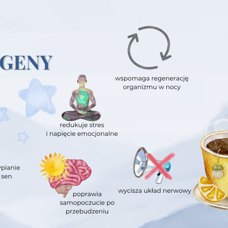 Adaptogeny noc korzyści HERBATKA ZIOŁOWA ADAPTOGENY NOC