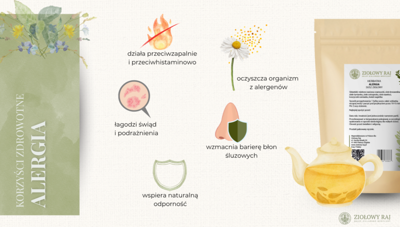 HERBATKA ZIOŁOWA NA ALERGIĘ
