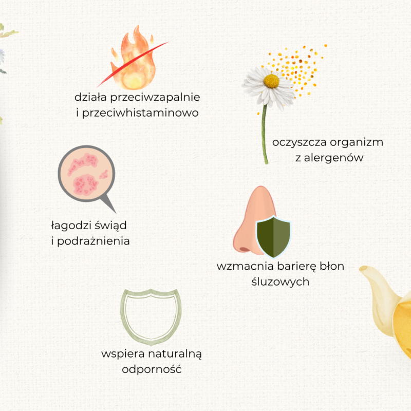 HERBATKA ZIOŁOWA NA ALERGIĘ