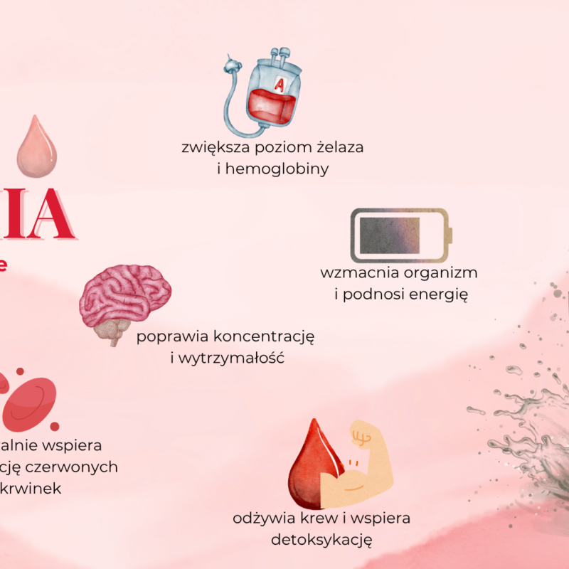 Anemia korzyści HERBATKA ZIOŁOWA NA ANEMIĘ