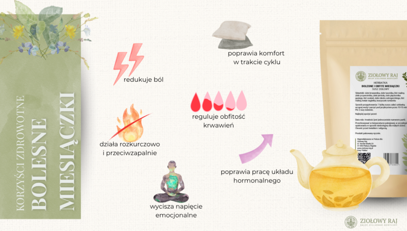 Bolesne miesiączki korzyści HERBATKA ZIOŁOWA NA BOLESNE I OBFITE MIESIĄCZKI