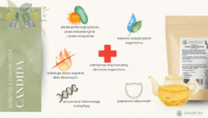 HERBATKA ZIOŁOWA NA CANDIDĘ I INFEKCJE GRZYBICZE