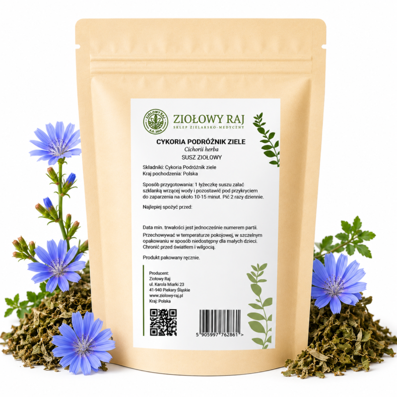 Cykoria ziele prosta Cykoria ziele 50g Ziołowy Raj