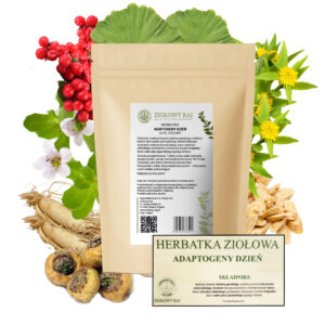 HERBATKA ZIOŁOWA ADAPTOGENY DZIEŃ