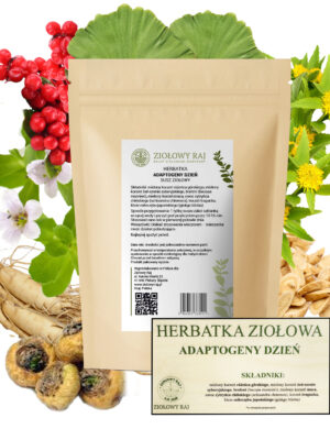 HERBATKA ZIOŁOWA ADAPTOGENY DZIEŃ