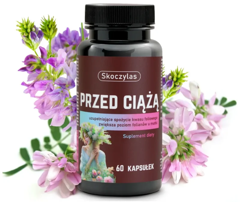 517ea6ad53dffacf945376eeebdf4f22