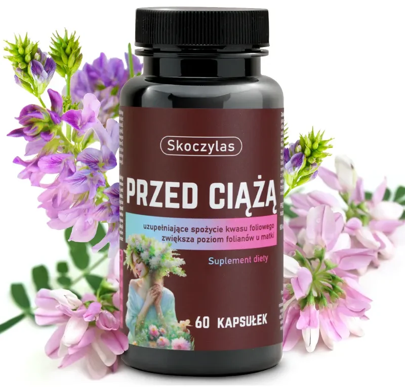 517ea6ad53dffacf945376eeebdf4f22