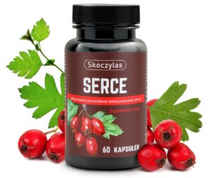 40a669c0d944d935a68ff5362ba61ec5