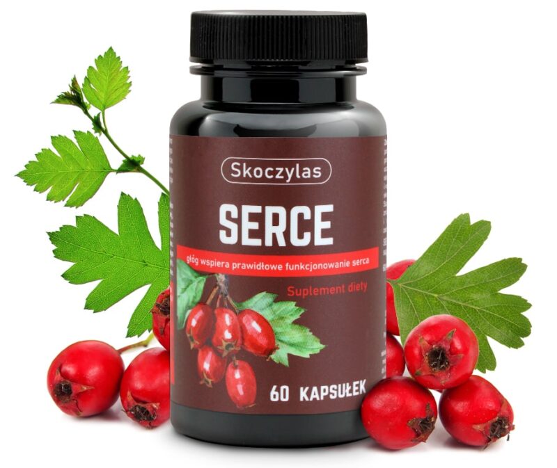 40a669c0d944d935a68ff5362ba61ec5