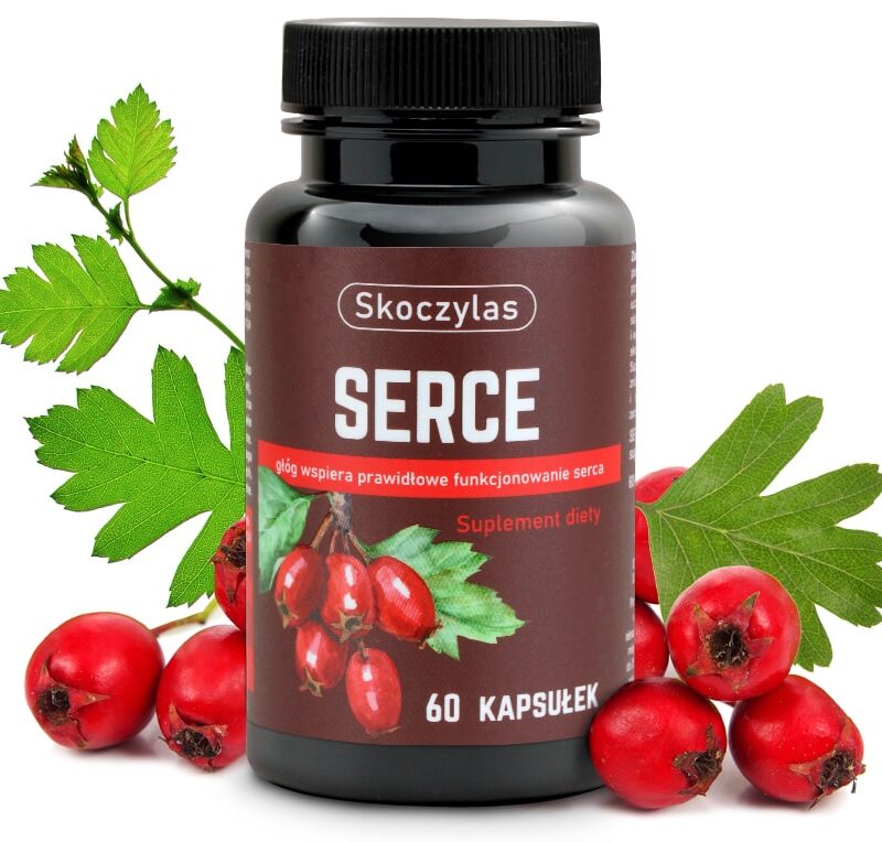 40a669c0d944d935a68ff5362ba61ec5