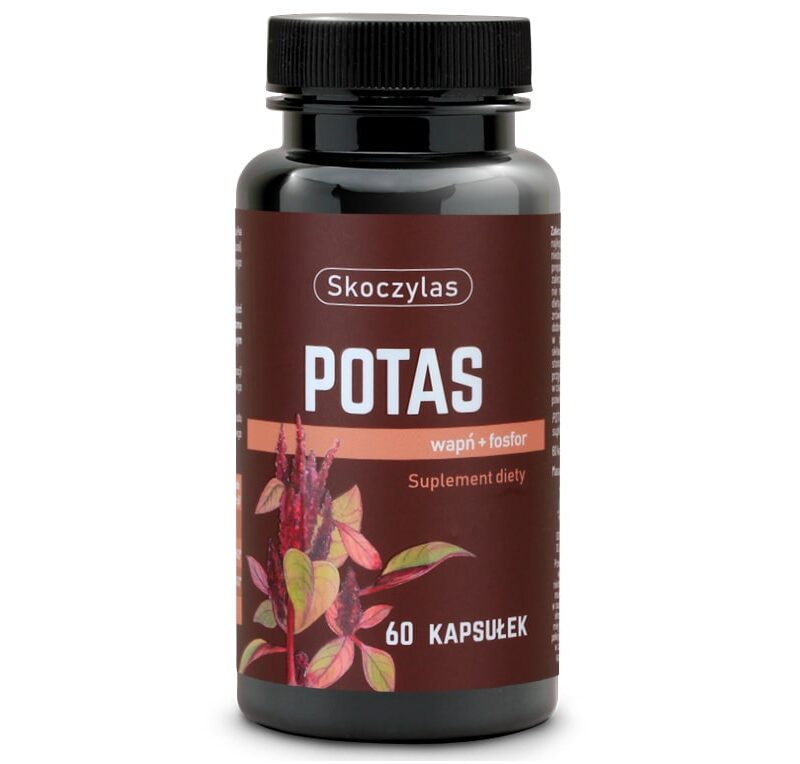 d6d1ec0b615a9170f3f5a3404f704743