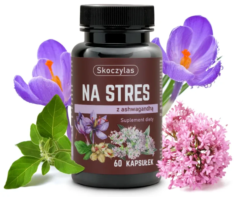 b2f9ca252628bbf1e20cc356c0dc01da