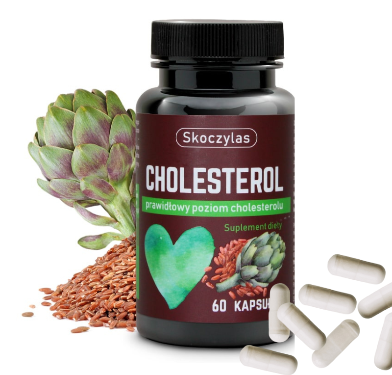 9446190cf47ba52640010921cb4078d6