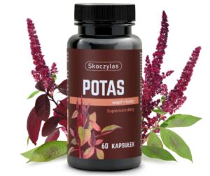 23990aa9925b047fc68d22aef2c78335