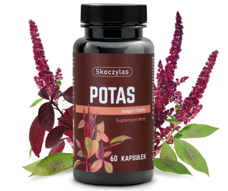 23990aa9925b047fc68d22aef2c78335