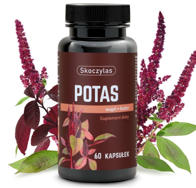 23990aa9925b047fc68d22aef2c78335