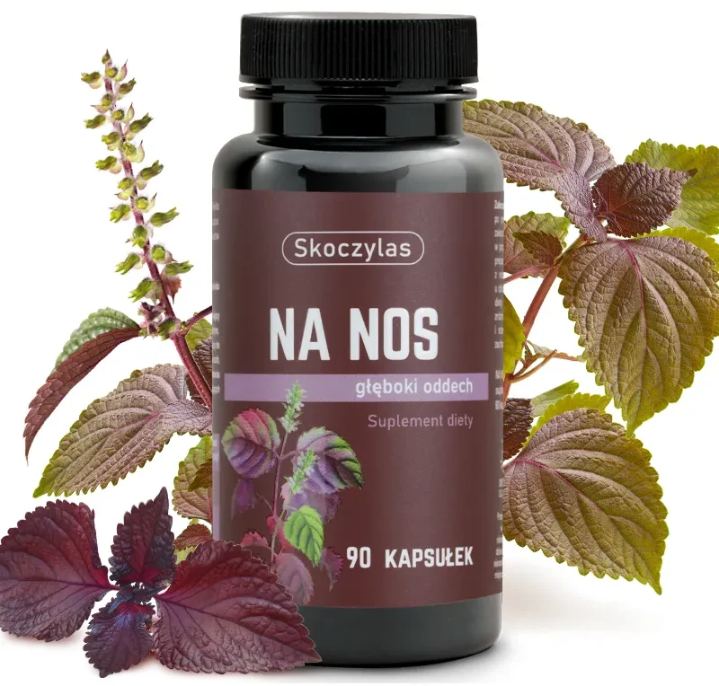 a27179045d4b758ba0d4570c99376379.webp 05183793a4237e1a7aa9edafeb79fc08