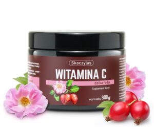 49a85dfafdcc50fb4ea4fe093272a119